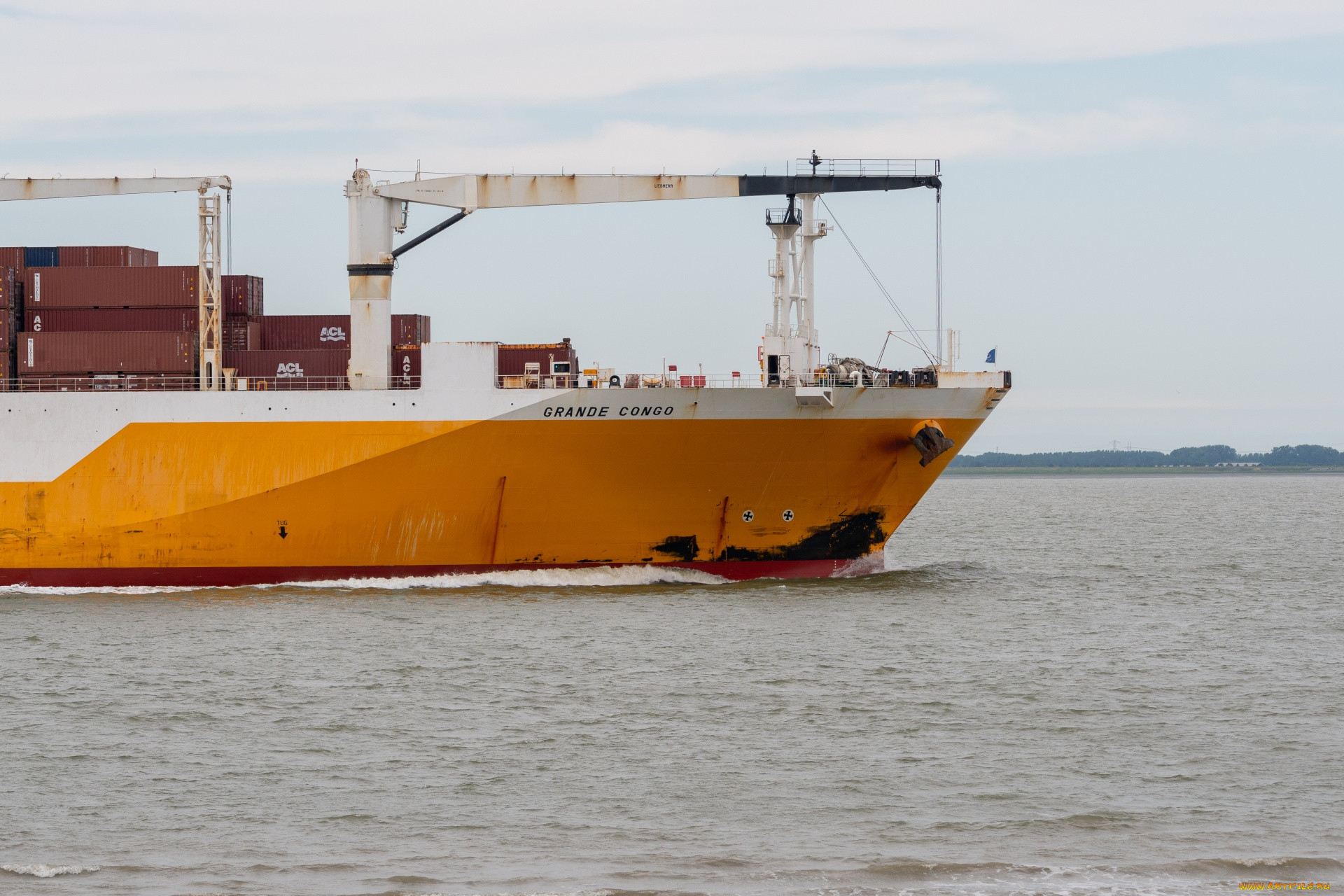 ,  , ro-ro, container, carrier, 
